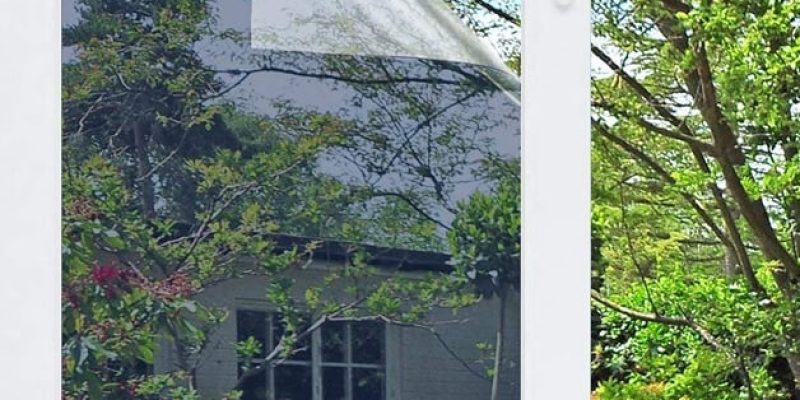 Reflection of trees on glass window.