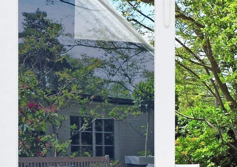 Reflection of trees on glass window.